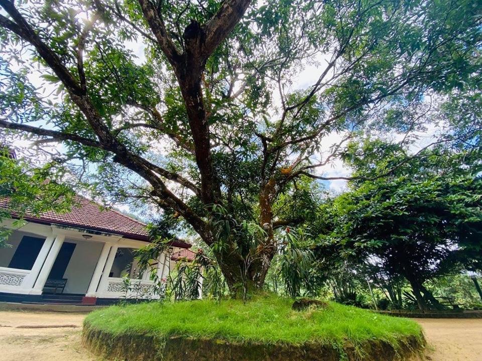 Randiyaepiliyagoda Resort アビッサウェッラ エクステリア 写真