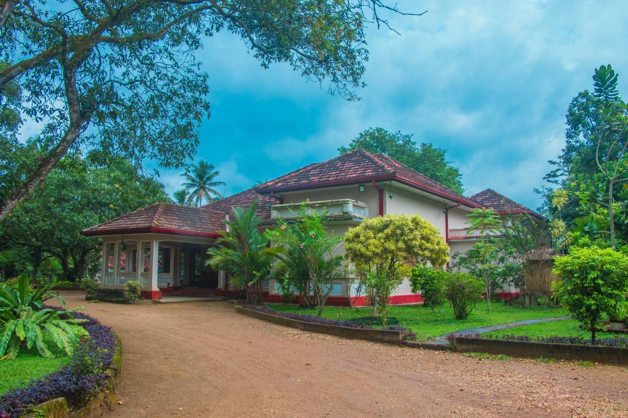 Randiyaepiliyagoda Resort アビッサウェッラ エクステリア 写真